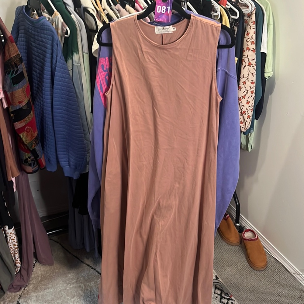 “Preloved” the brand Maude Dress in Blush